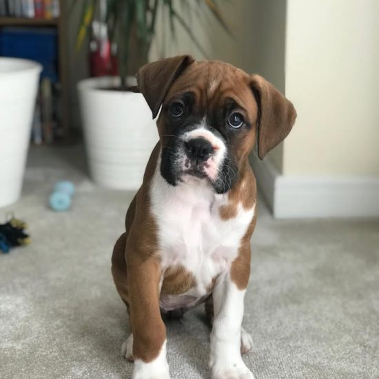 Ruby F